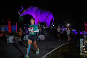 BIB: 
                            <button type="button" onclick="openModal(26551841)" class="btn btn-primary btn-sm float-right btn-popup" data-toggle="modal" data-target=".modal-high-quality">
                        <i class="fas fa-shopping-cart"></i> Add to Cart
                    </button>
                                            <button type="button" onclick="isThisMe(26551841, true)" class="btn btn-success btn-sm float-right btn-popup btn-isme hidden" data-toggle="tooltip" data-placement="bottom" title="นี่คือรูปของคุณใช่ไหม คลิกที่นี่เพื่อเอาเข้าอัลบั้ม">
                        <i class="fas fa-plus"></i> Add to album
                    </button>
                    <button type="button" onclick="isThisMe(26551841, false)" class="btn btn-warning btn-sm float-right btn-popup btn-isnotme hidden">
                        <i class="fas fa-ban"></i> Remove from album
                    </button>